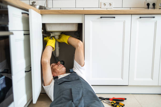 Best Toilet Repair Services  in Independence, MN