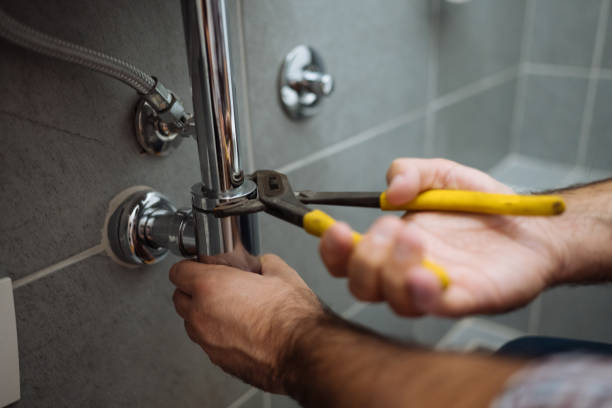 Best Plumbing Inspection Services  in Independence, MN