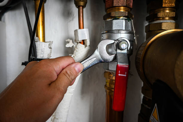 Best Sewer Cleaning Services  in Independence, MN
